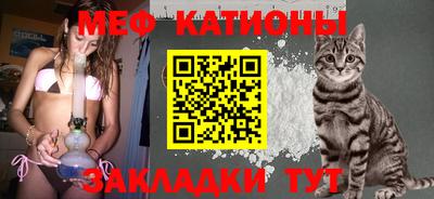 шишки Аша