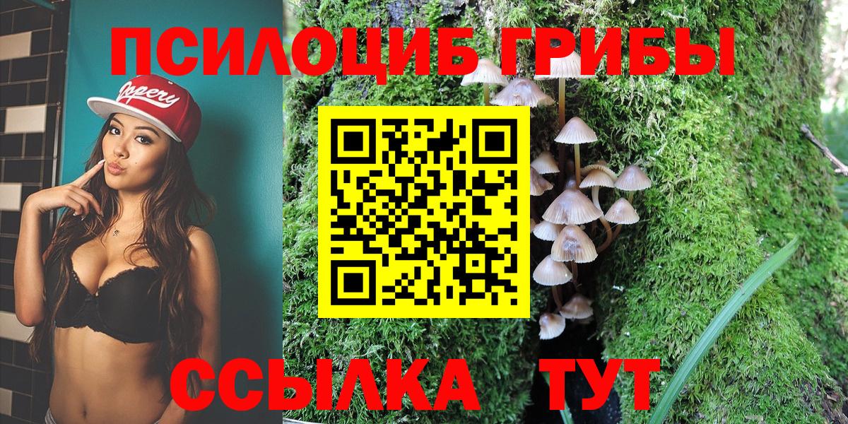 Галлюциногенные грибы прущие грибы Калининград